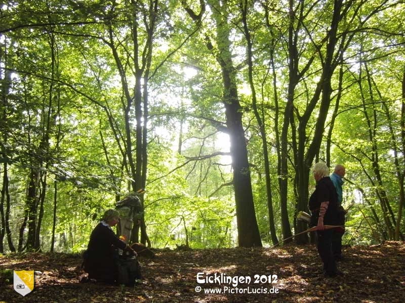 Eicklingen 2012 Wallpaper = Ziel speichern unter