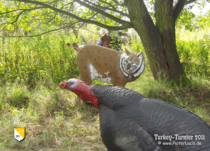 Turkeys 2011 | PL_23624  | www.pictorlucis.de