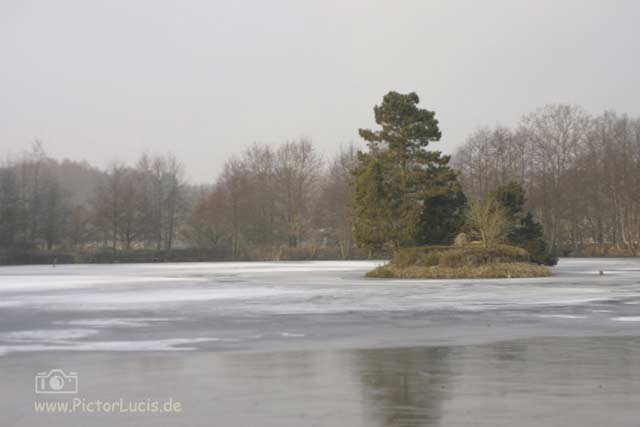 Eisnasenturnier | LB_23965  | www.pictorlucis.de