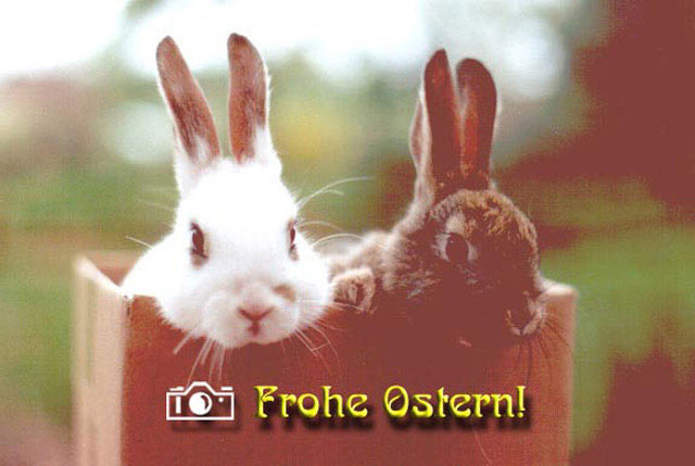 Grusskarten | ostergrusskarte  | www.pictorlucis.de