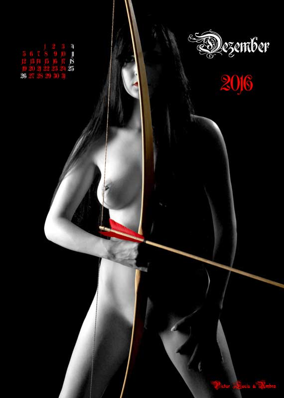 Bogen-Aktkalender-2016 | 12-2016-Bogenakt-roter-Pfeil  | www.pictorlucis.de