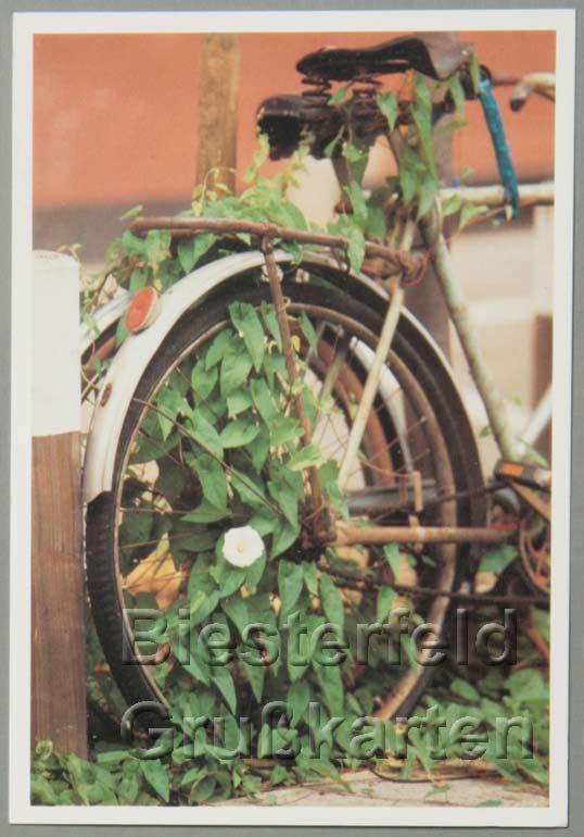 96-Celle-Postkarte-1